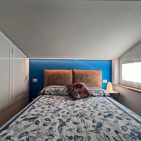 Colibri * סיינה